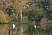 知ってた? デンマークのおもしろ3選