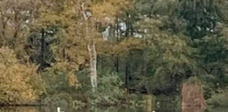 知ってた? デンマークのおもしろ3選