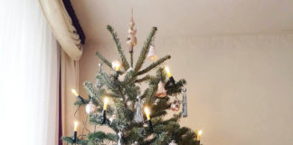 ロックダウンで迎えるクリスマス@ドイツ