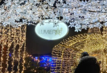 森の中のイルミネーションは希望の光のように・デンマーク