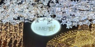 森の中のイルミネーションは希望の光のように・デンマーク