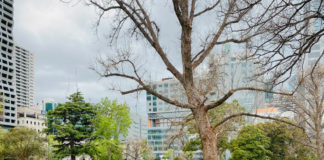 目まぐるしく変わったコロナ渦でのメルボルン生活