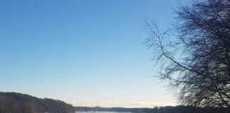 デンマークには山がない‼︎ スキーなんてできないじゃん