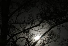 何が変わった? Brexitによるアイルランドへの影響