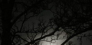 何が変わった? Brexitによるアイルランドへの影響