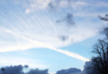 アイルランドで「こんなはずじゃなかった・・・」と感じた時って?