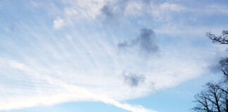 アイルランドで「こんなはずじゃなかった・・・」と感じた時って?