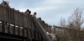 デンマークは『幸福度世界一』の国・・・でも・・・