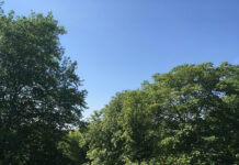 日常の中にあるヒュッゲな暮らし