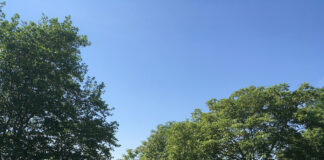 日常の中にあるヒュッゲな暮らし