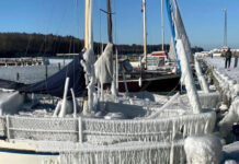 職探しならLinkedIn・コミュニケーションなら・・・デンマークのSNS活用事情