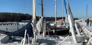 職探しならLinkedIn・コミュニケーションなら・・・デンマークのSNS活用事情