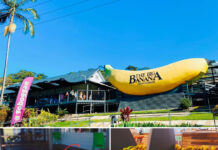 海も山も楽しめる素敵な街、コフスハーバーってどんなとこ?