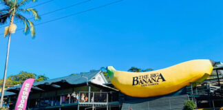 海も山も楽しめる素敵な街、コフスハーバーってどんなとこ?