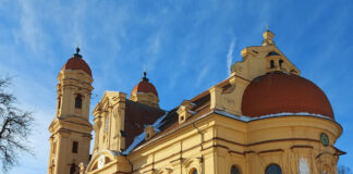 チャレンジ! ドイツでもやりたいことは無限にできる!