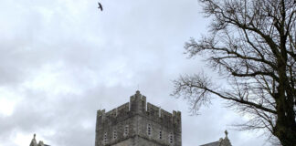 何気に見どころがあるアイルランドをふらっと旅しよう