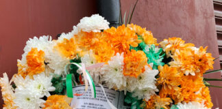 アイルランドでの日常会話をスムーズにするコツ