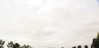 日本人として周囲から期待されること@ポーランド