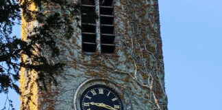 コロナ前と今とで、環境が大きく変わったこと@アイルランド