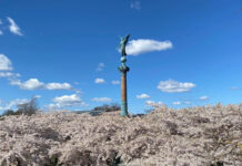 デンマーク人の誤解・『日本は空気が汚いからマスクをみんなしてるんでしょ?』