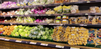 日本と比べる、デンマークの生活物価事情