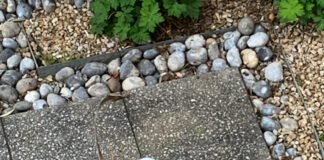 ものによっては日本より高い物も、安い物もある アイルランドの生活物価