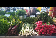 バイト収入だけでは厳しいかも・・・リトアニアの最新生活物価事情