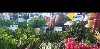 バイト収入だけでは厳しいかも・・・リトアニアの最新生活物価事情