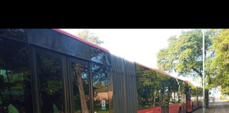 移動手段が充実 ますます散策や旅が快適になってきたリトアニア