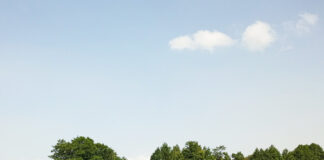 リトアニアで過ごす「穏やかで美しい夏休み」