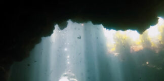 ワーホリ中に資格取得に挑戦しよう! オーストラリアでスキューバダイビング インストラクターになった話