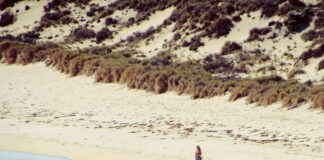 文化の違い?!オーストラリアにきて驚いたこと