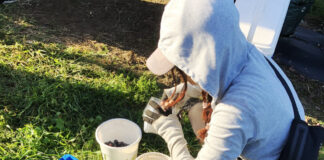 給与明細公開! 日本より稼げる?!オーストラリアのアルバイト事情