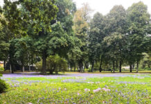 🎅クリスマスマーケット🎄Sjælland🤶