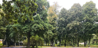 🎅クリスマスマーケット🎄Sjælland🤶