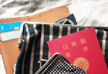 リトアニアで暮らす筆者のお財布は、こんな感じ