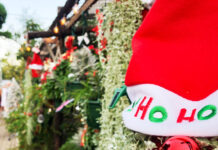 クリスマス イベントをレポート! In ケアンズ・オーストラリア