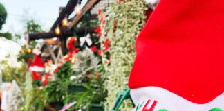 クリスマス イベントをレポート! In ケアンズ・オーストラリア