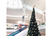 街中のクリスマスを探してみた in ケアンズ