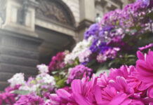 思った事は言ったもの勝ち!? オーストラリアのワーホリで覆された「自分の中での常識」とは?