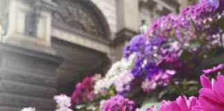 思った事は言ったもの勝ち!? オーストラリアのワーホリで覆された「自分の中での常識」とは?