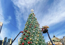 プレゼントは返品可能! 合理的なオーストラリアのクリスマス習慣