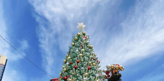 プレゼントは返品可能! 合理的なオーストラリアのクリスマス習慣