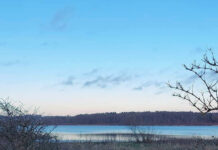 デジタル先進国・デンマークの今、そして未来の姿とは?