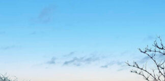 デジタル先進国・デンマークの今、そして未来の姿とは?