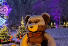 国の違いを感じながら、デンマークの良さと同時に日本の良さも肌で感じること