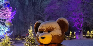 国の違いを感じながら、デンマークの良さと同時に日本の良さも肌で感じること