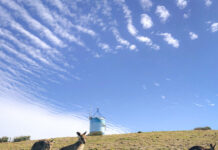 あなたにぴったりの都市はどこ?! 2年間のワーホリを振り返る 〜後編〜