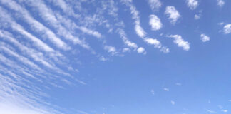 あなたにぴったりの都市はどこ?! 2年間のワーホリを振り返る 〜後編〜