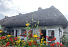 ダブリンでのお引越し